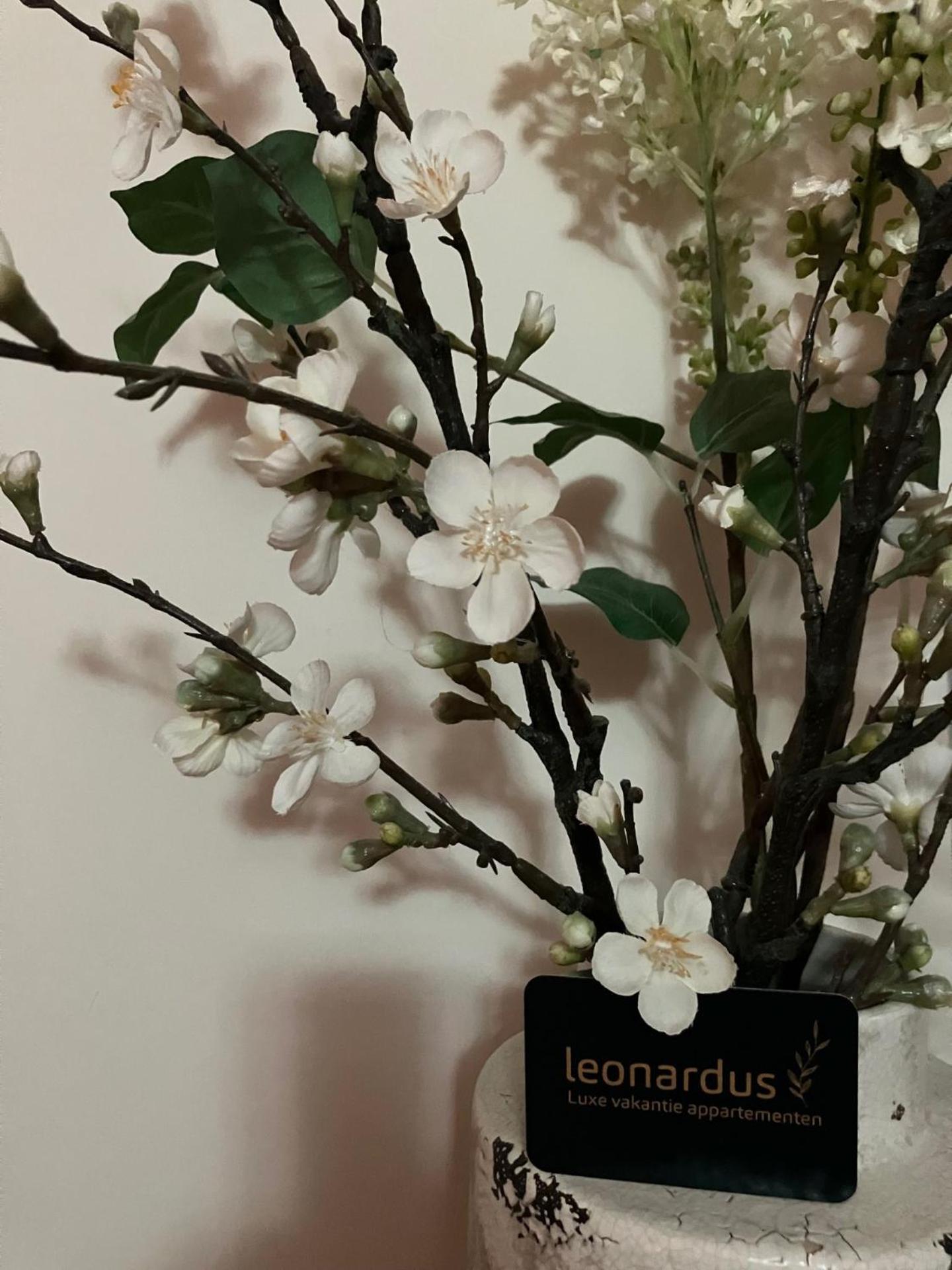Luxe Appartementen Leonardus Valkenburg aan de Geul Kültér fotó